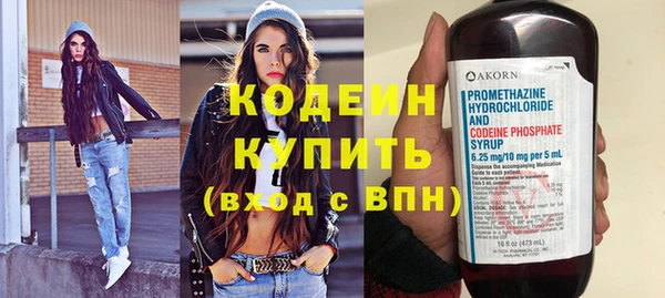 крисы Киренск