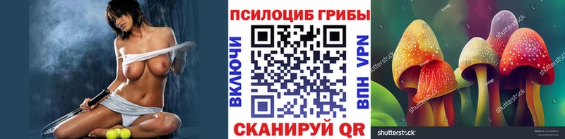 Купить где  Бежецк  Псилоцибиновые грибы прущие грибы 